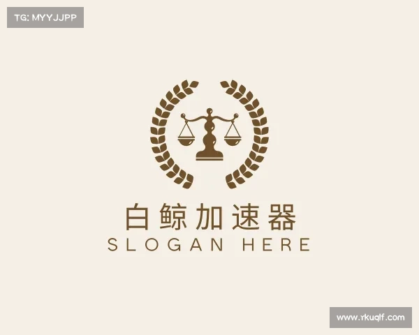 认识白鲸加速器